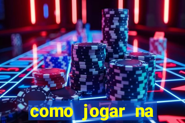 como jogar na lotinha do jogo do bicho